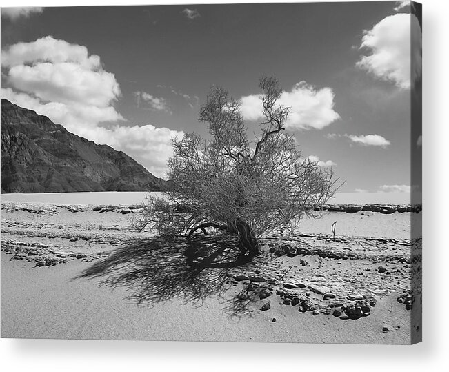 Death Valley Acrylic Print featuring the photograph Visions of Eureka Dunes by Joe Schofield