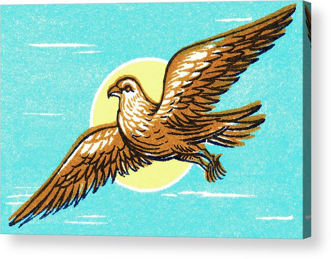 Animal Acrylic Print featuring the drawing Falcon by CSA Images