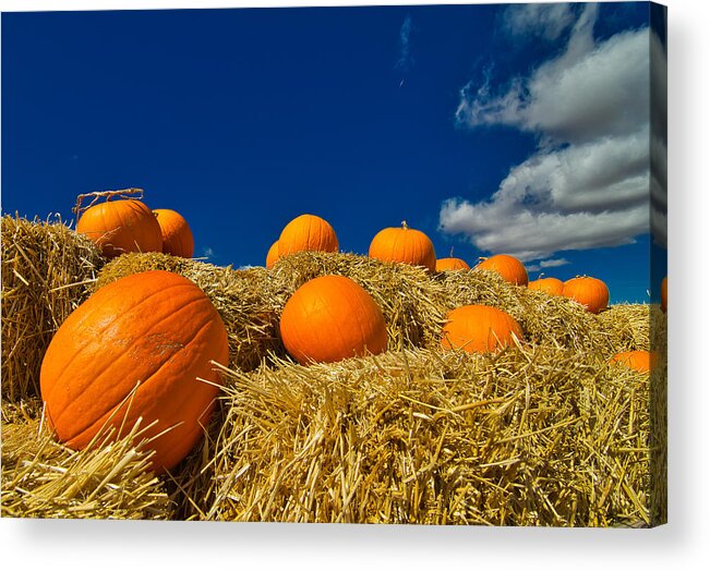 Pumpkins Acrylic Print featuring the photograph Fall Pumpkins by Tom Gresham