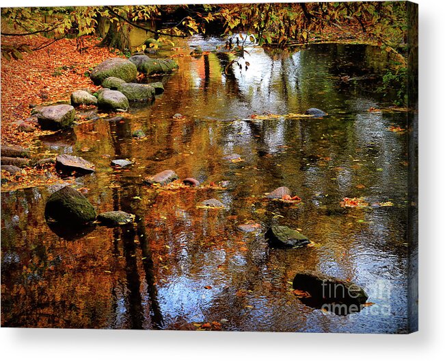 Fall Reflections Acrylic Print featuring the photograph Fall Reflections by Mariola Bitner