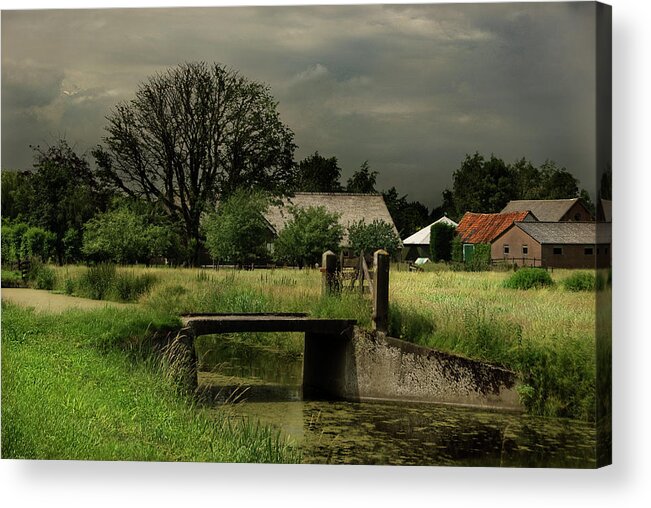 Grass Acrylic Print featuring the photograph Farm by Hans Heintz Netherlands