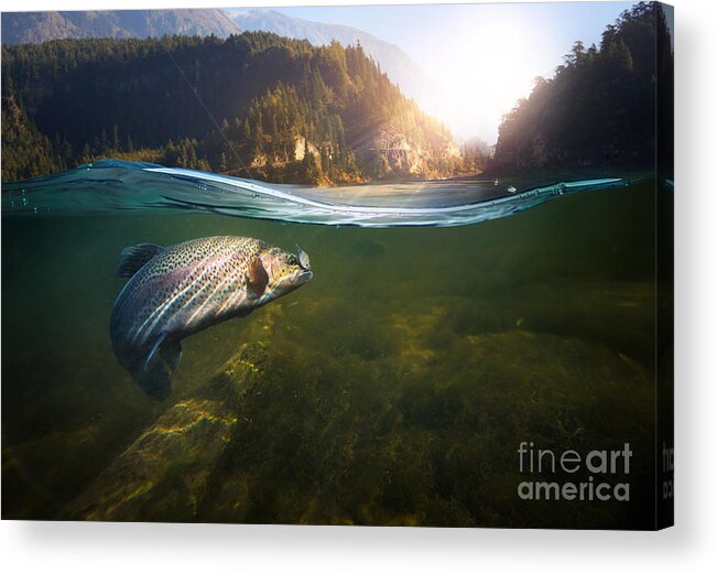 Flare Acrylic Print featuring the photograph Fishing Close-up Shut Of A Fish Hook by Rocksweeper