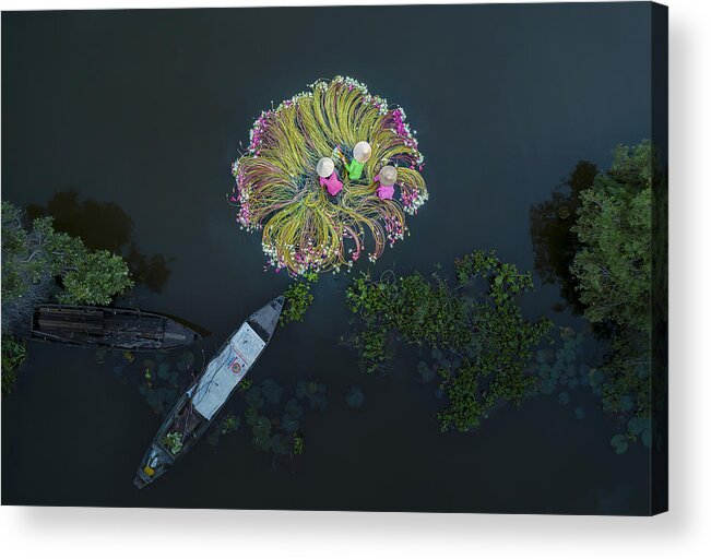 Aerial Acrylic Print featuring the photograph Flowers On The Water by Khanhphan