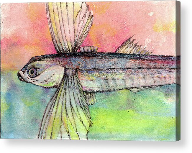 Flying Fish Acrylic Print featuring the pastel Flying Fish from Barbados by AnneMarie Welsh