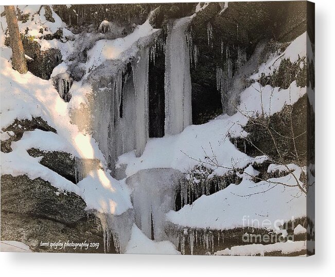 Winter Acrylic Print featuring the photograph Frozen In Harmony by Tami Quigley