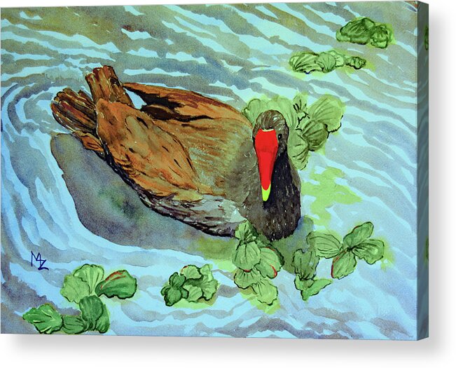 Gallinule Acrylic Print featuring the painting Gallinule on a Florida Lake by Margaret Zabor