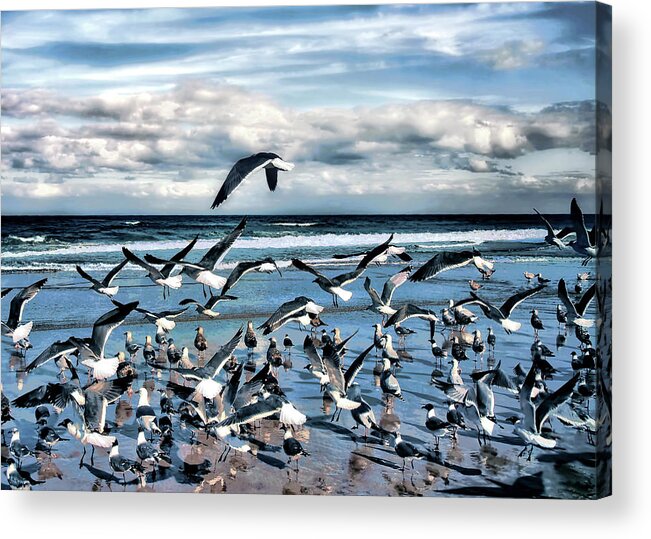 Seagulls Acrylic Print featuring the photograph Gulls by Jim Hill