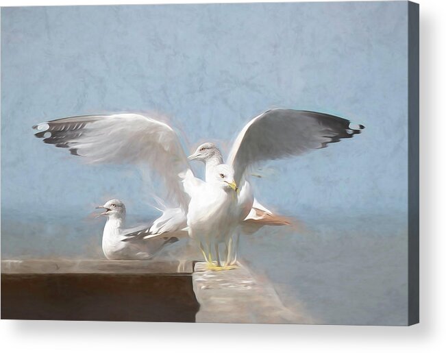 Seagull Acrylic Print featuring the photograph Harbour Watch by Pete Rems