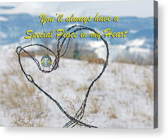 Heart Acrylic Print featuring the photograph Heart by Rick Mosher