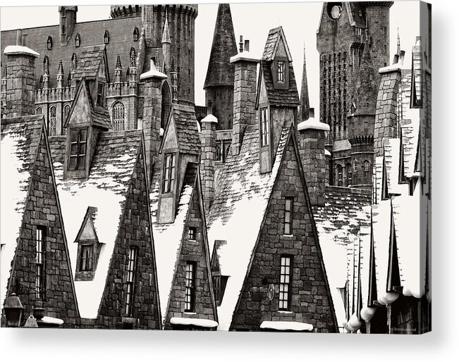 Hogsmeade Textures Acrylic Print featuring the photograph Hogsmeade Textures by Dark Whimsy