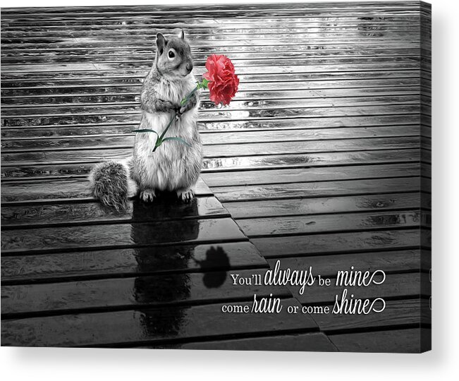 Love Acrylic Print featuring the digital art I Love You Squirrel with Carnation Black and White by Doreen Erhardt