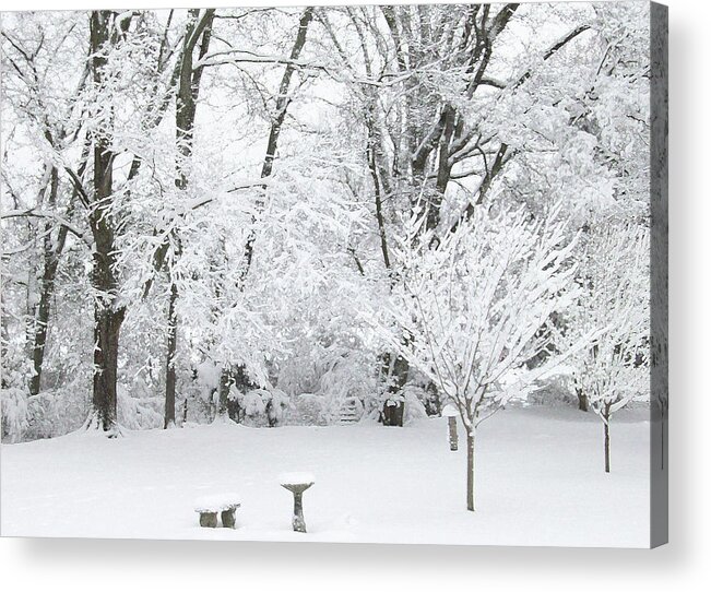 White Acrylic Print featuring the mixed media Ice and Snow2 by Belinda Landtroop