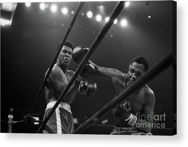 Joe Frazier Acrylic Print featuring the photograph Joe Frazier Punches Muhammad Ali by Bettmann