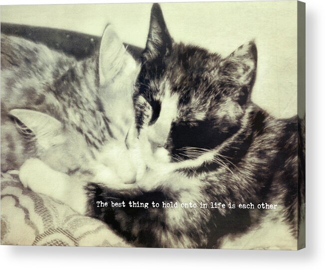 Best Acrylic Print featuring the photograph KITTEN NAP quote by JAMART Photography