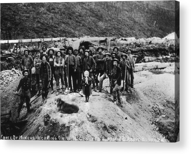 Miner Acrylic Print featuring the photograph Klondike Miners by Hulton Archive