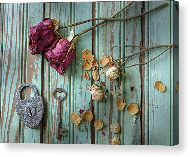 Roses Acrylic Print featuring the photograph Last Remembrance 1 by David Smith