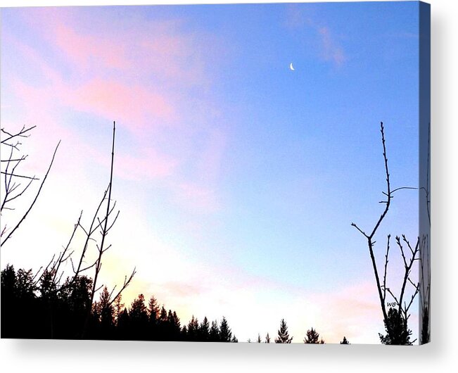 Sunrise Acrylic Print featuring the photograph Last Sunrise Of 2018 by Will Borden