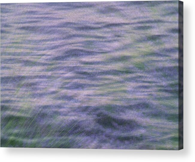 Flower Acrylic Print featuring the photograph Lavender Field by Minnie Gallman
