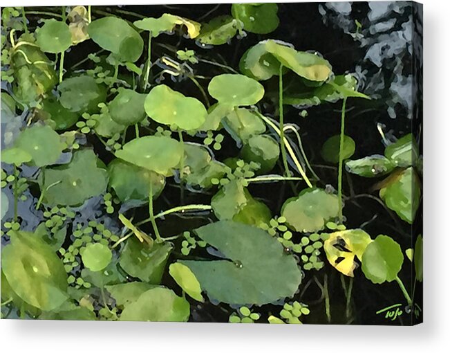 Lily Pads Acrylic Print featuring the photograph Lily Pads by Tom Johnson