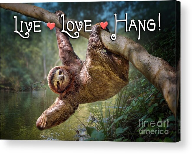 Sloth Acrylic Print featuring the digital art Live Love Hang by Evie Cook