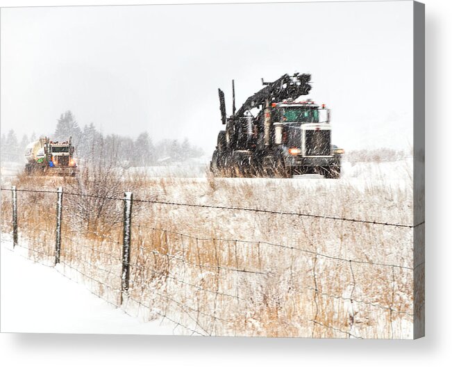  Trucks Acrylic Print featuring the photograph Logging Truck by Theresa Tahara