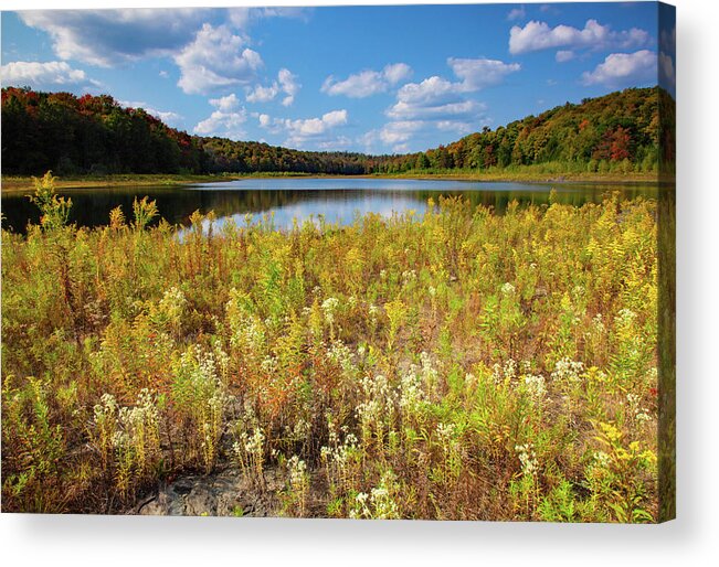 Allegheny Plateau Acrylic Print featuring the photograph Lower Woods Pond by Michael Gadomski