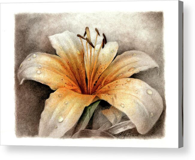 Magic Lily Acrylic Print featuring the painting Magic Lily by Art And A Little Magic