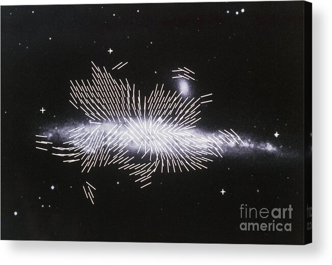 Spiral Acrylic Print featuring the photograph Magnetic Fields In The Halo Of A Spiral Galaxy by Max-planck-institut Fur Radioastronomie/science Photo Library