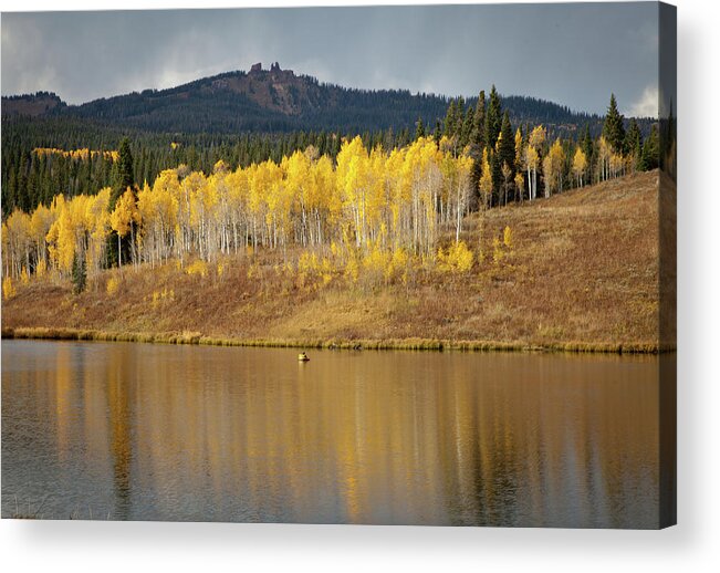 Grass Acrylic Print featuring the photograph Muddy Pass Ake And Aspen Trees, Colorado by Karen Desjardin