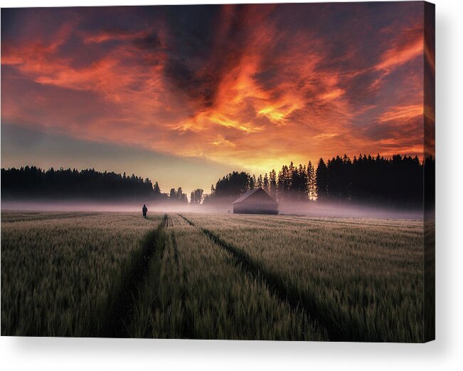 Field Acrylic Print featuring the photograph New Dawn. by Mika Suutari
