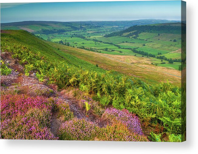 Danby Acrylic Print featuring the photograph North York Moors National Park by David Ross