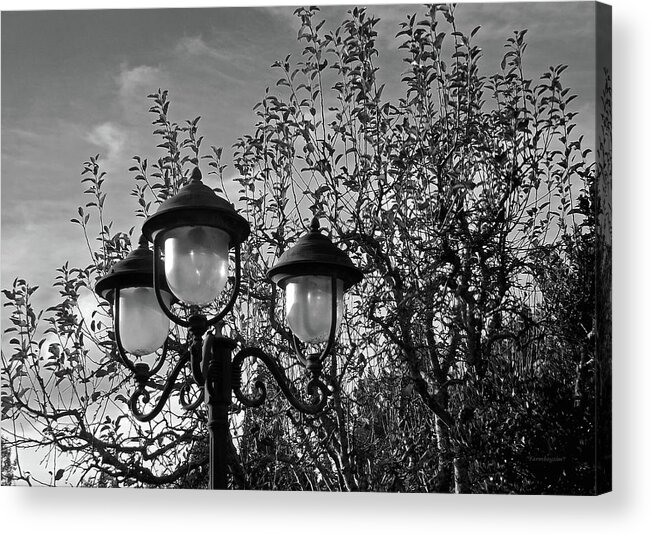 Farmboyzim Acrylic Print featuring the photograph Old Fashioned Feeling by Harold Zimmer