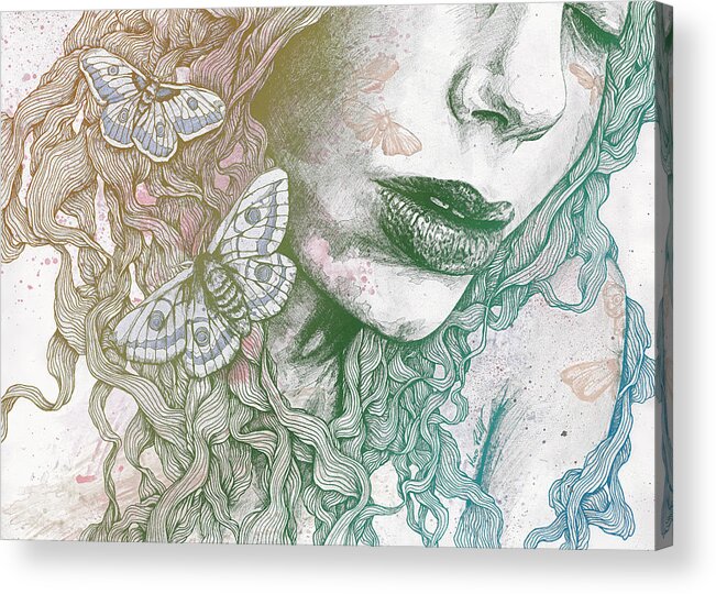 Moth Acrylic Print featuring the drawing Ornaments - Rainbow II by Marco Paludet