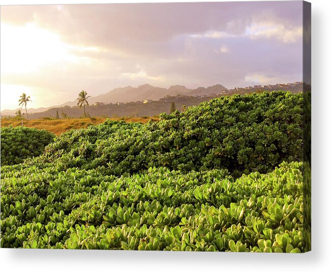 Hawaii Acrylic Print featuring the photograph Paradise by Bari Rhys