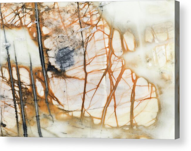 Abstract Acrylic Print featuring the photograph Picasso Stone Details, Close by Mark Windom