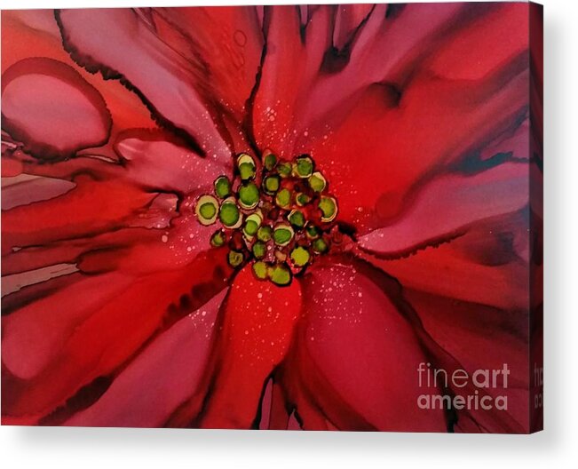 Alcohol Ink Acrylic Print featuring the painting Poinsettia by Beth Kluth