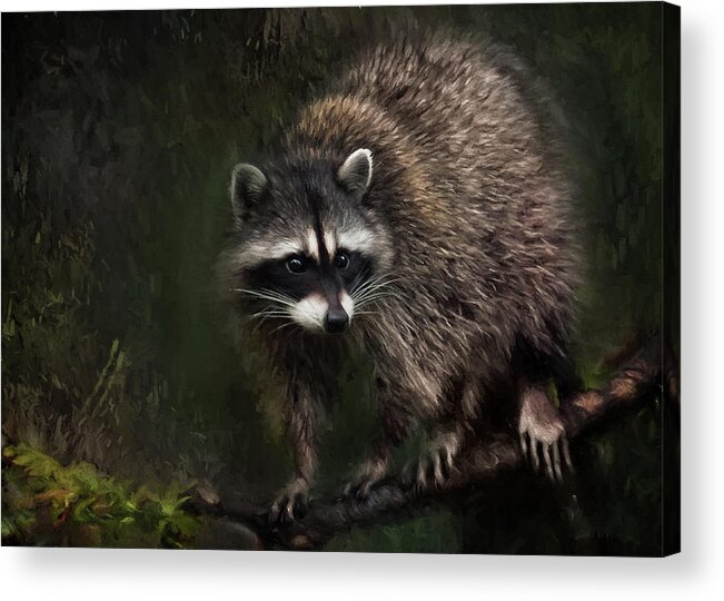 Raccoon Acrylic Print featuring the painting Rocky Raccoon by Jeanette Mahoney