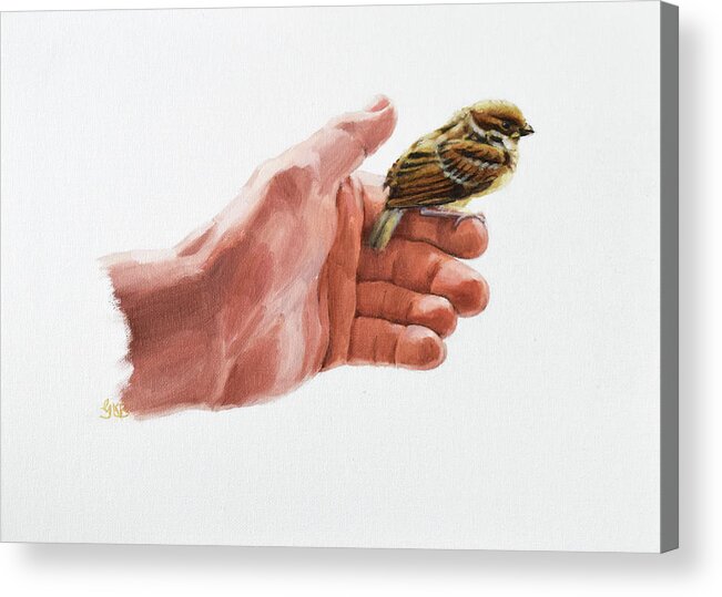 Graham Acrylic Print featuring the painting Sparrow in His Hand by Graham Braddock