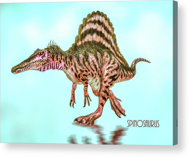 Spinosaurus Acrylic Print featuring the digital art Spinosaurus by Bob Orsillo