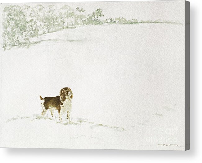 Dog Acrylic Print featuring the painting Springer Spaniel In The Snow by Suzi Kennett