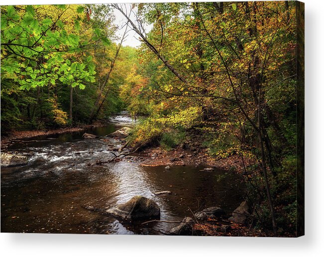 Autumn Acrylic Print featuring the photograph Stream in Autumn by Debra Fedchin