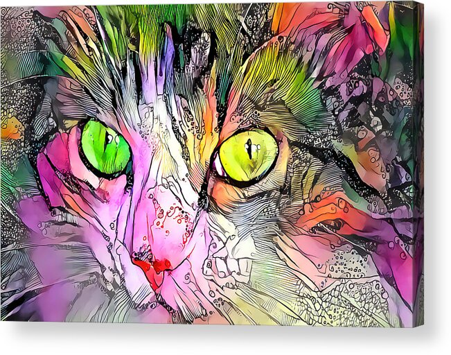 Surreal Acrylic Print featuring the digital art Surreal Cat Wild Eyes by Don Northup