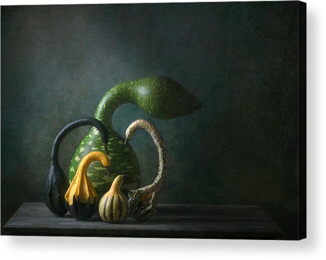 Speckled Acrylic Print featuring the photograph Swan Gourds by Catherine W.