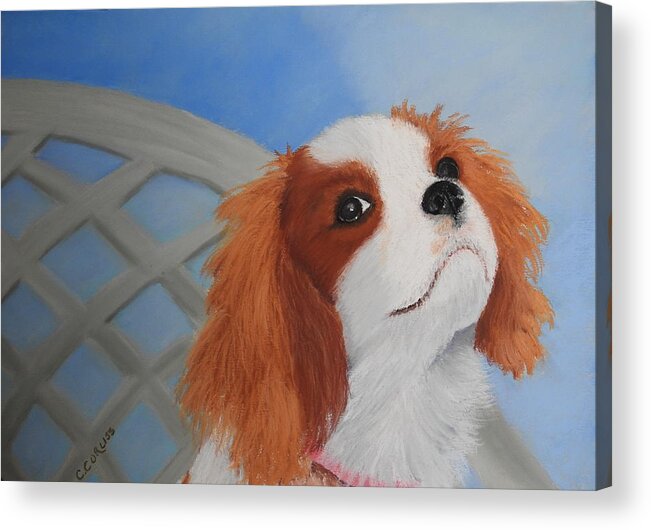 Dog Acrylic Print featuring the pastel Sweet Lily by Carol Corliss