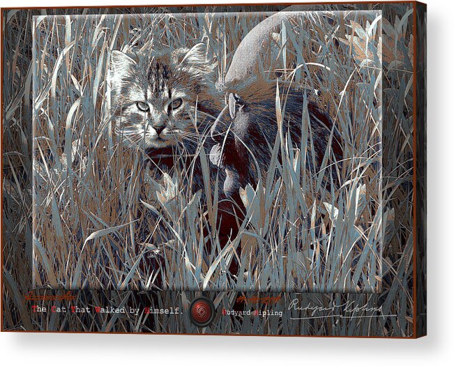 Portrait/ Landscape/digital Art/ Digital Paint/panzzerirbis/igor Panzzerirbis Pilshikov Acrylic Print featuring the digital art The Cat That Walked by Himself. by Igor Panzzerirbis Pilshikov