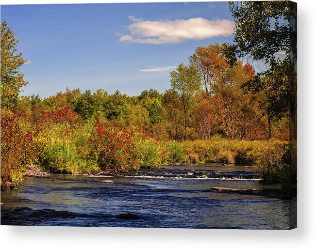 Allegheny Mountains Acrylic Print featuring the photograph Tobyhanna Creek by Michael Gadomski