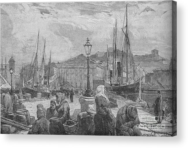 Trieste Acrylic Print featuring the drawing Trieste Harbour 1902 by Print Collector