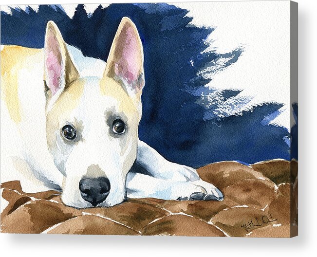 Dog Acrylic Print featuring the painting Ty Dog Portrait by Dora Hathazi Mendes