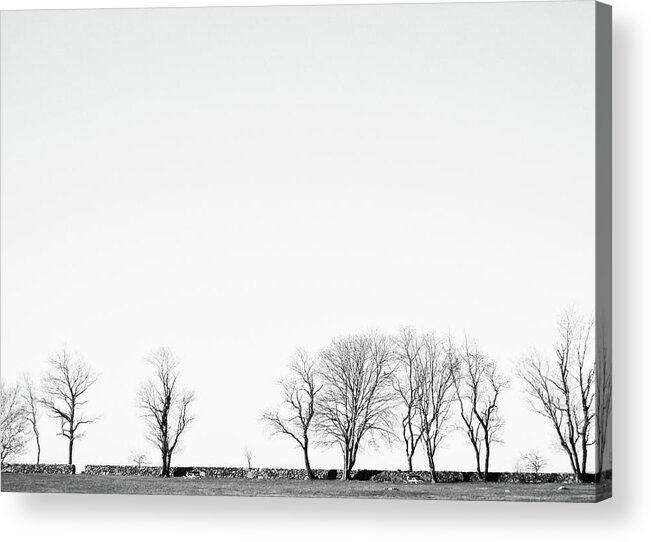 Trees Acrylic Print featuring the photograph Under a Winter Sky by Nancy De Flon