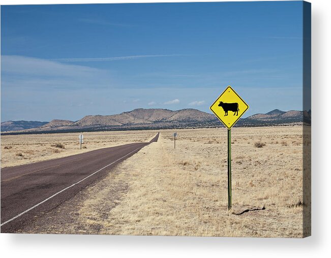 Alertness Acrylic Print featuring the photograph Watch For Cows Sign On Country Road by Ivanastar